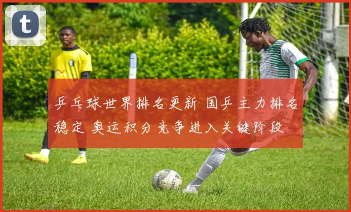 乒乓球世界排名更新 国乒主力排名稳定 奥运积分竞争进入关键阶段