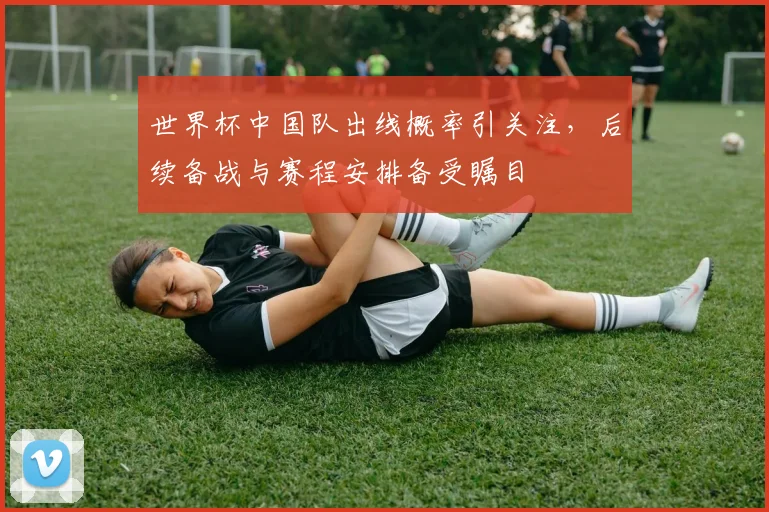 世界杯中国队出线概率引关注,后续备战与赛程安排备受瞩目
