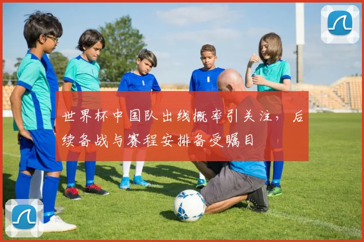 世界杯中国队出线概率引关注,后续备战与赛程安排备受瞩目