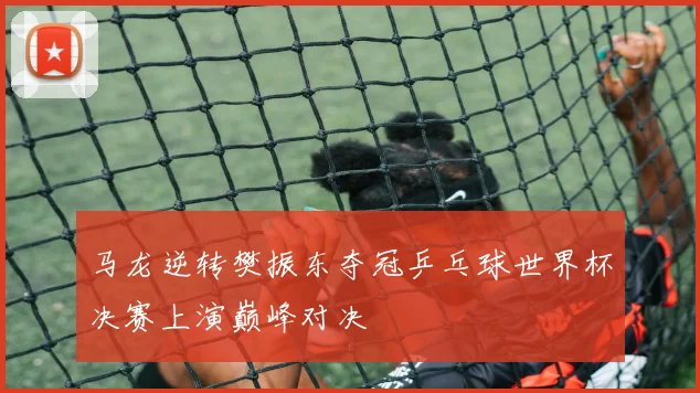 马龙逆转樊振东夺冠乒乓球世界杯决赛上演巅峰对决