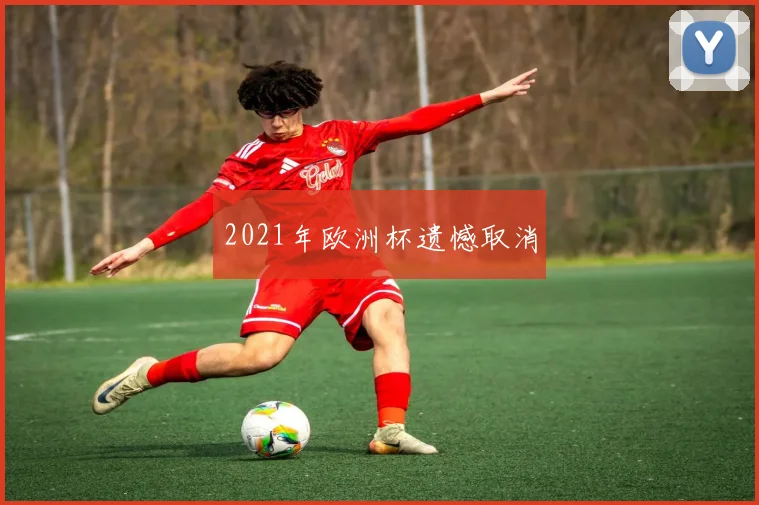 2021年欧洲杯遗憾取消
