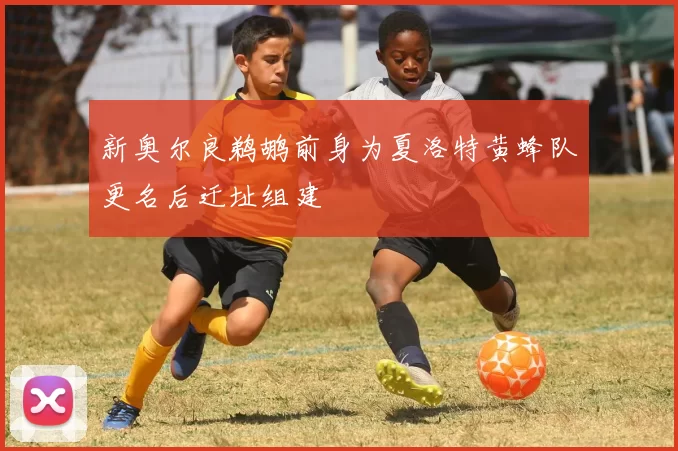 新奥尔良鹈鹕前身为夏洛特黄蜂队更名后迁址组建