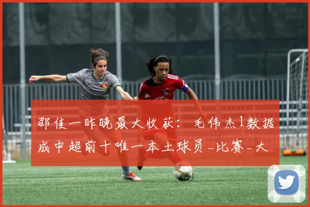 邵佳一昨晚最大收获：毛伟杰1数据成中超前十唯一本土球员_比赛_大连_防守