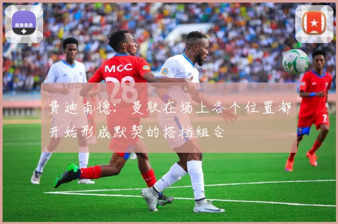 费迪南德：曼联在场上各个位置都开始形成默契的搭档组合